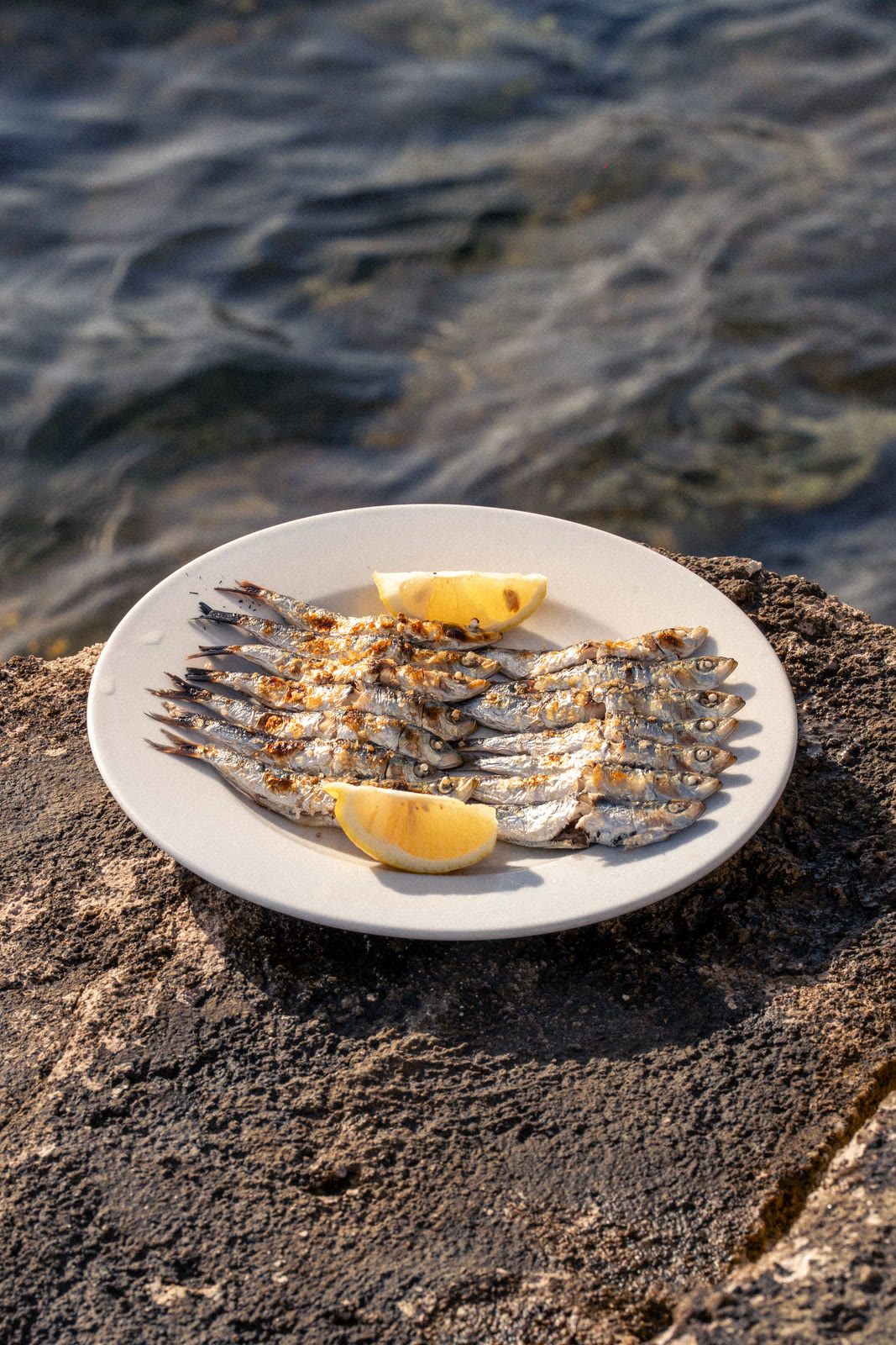 Espeto de sardinas con limón, sobre las rocas junto al mar